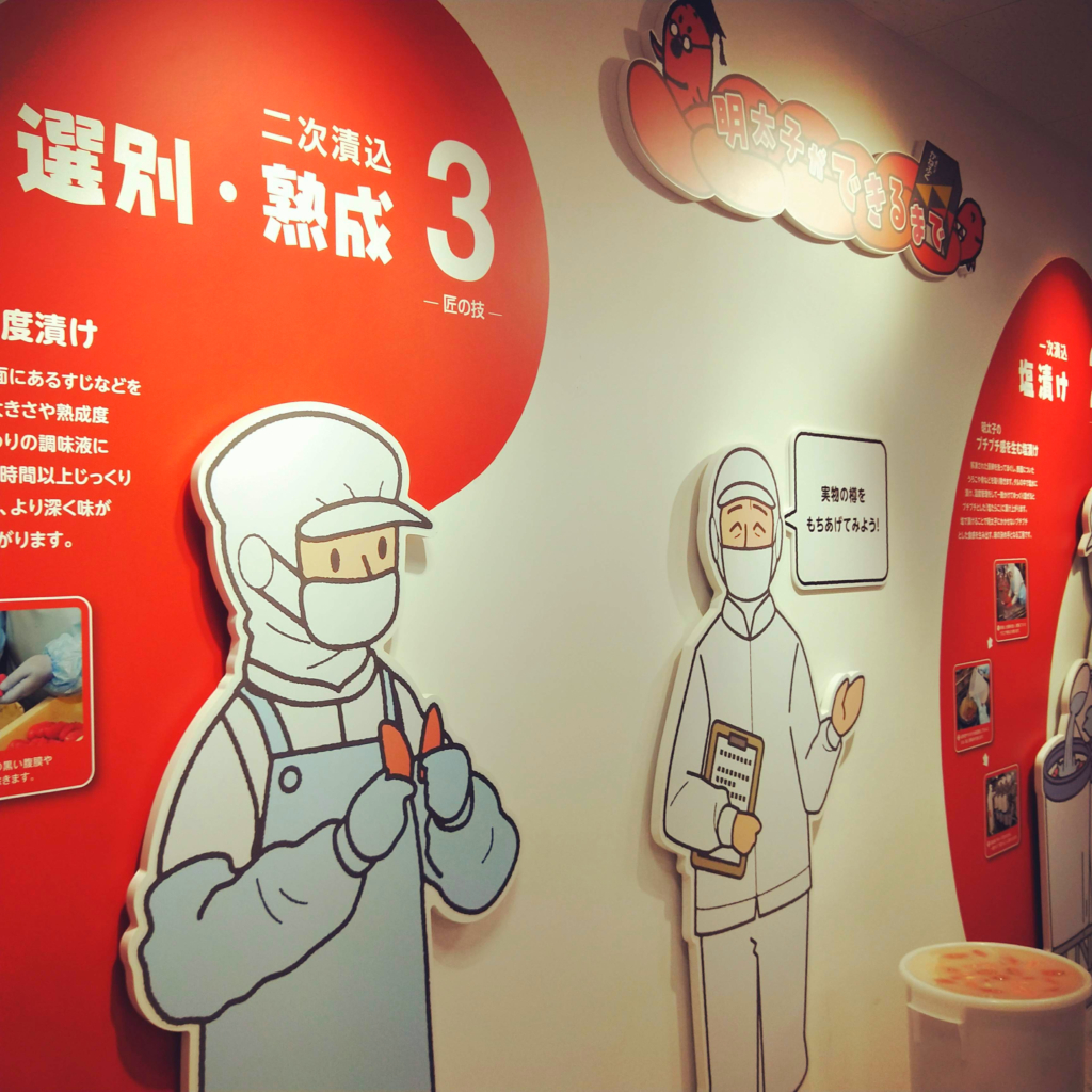 めんたいパークびわ湖に展示されていた明太子の製造工程をわかりやすく説明した展示