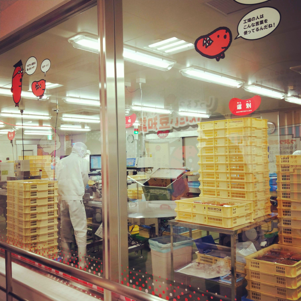 めんたいパークびわ湖の工場見学コーナーで見られる明太子の製造過程