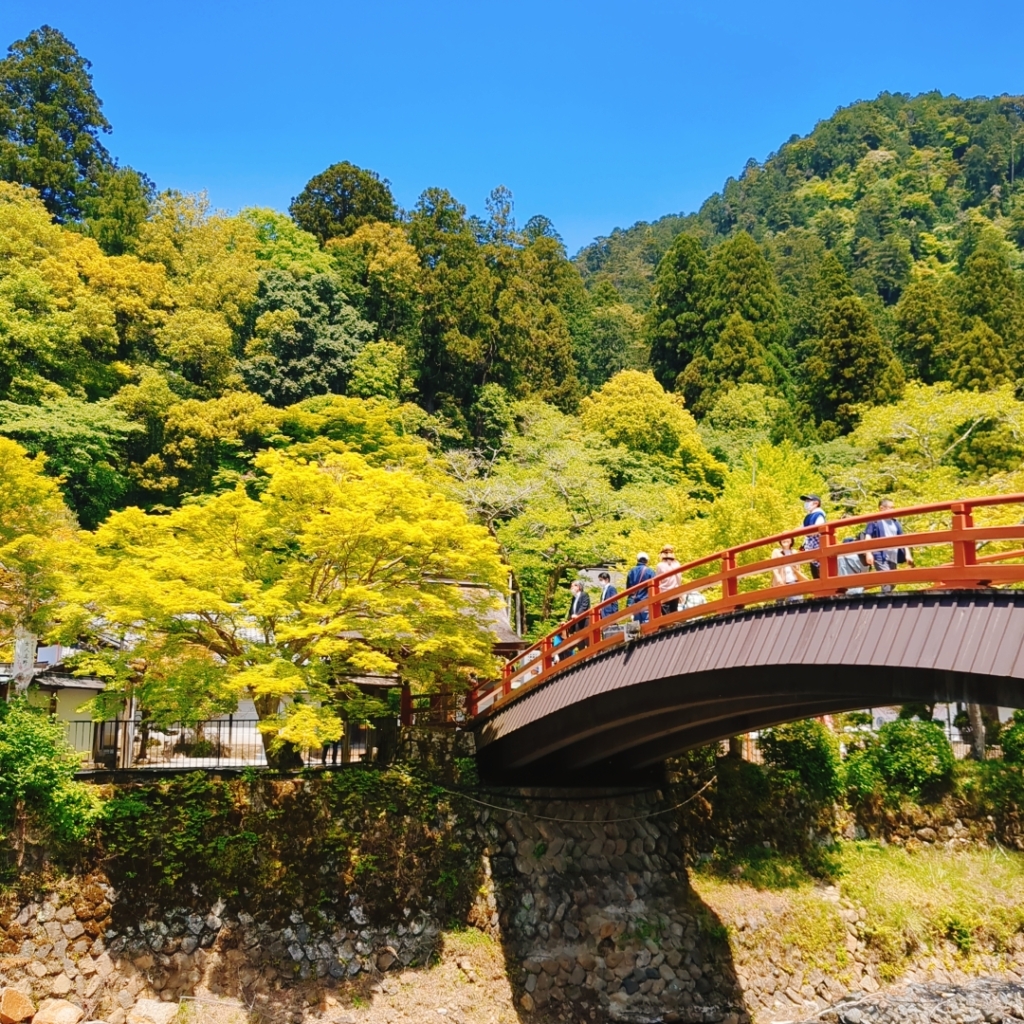 室生寺の蕎麦屋である橋本屋の座敷から見る景色